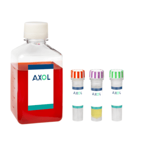 axoCells™ cortical neuron media, supplement and coating kit