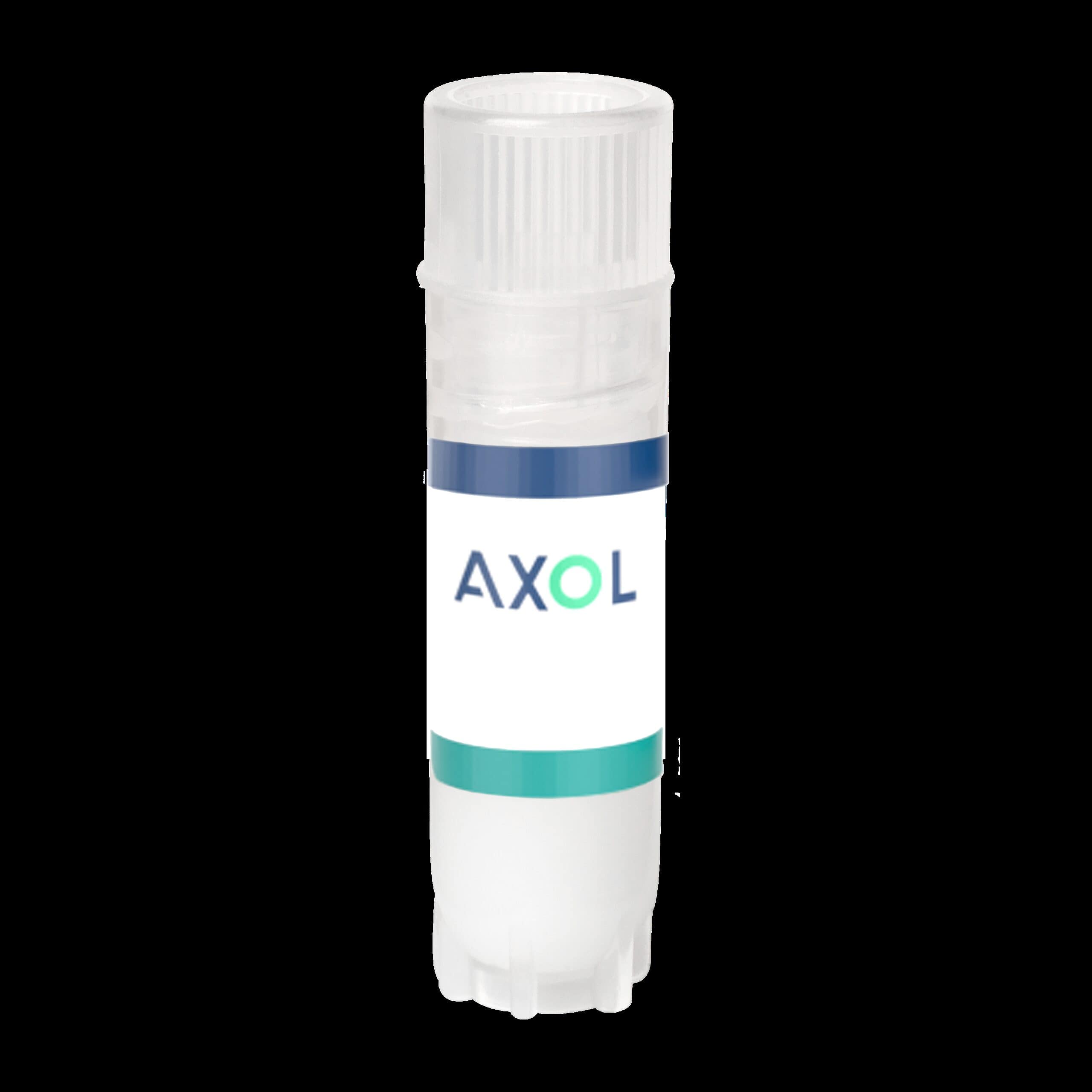 axoCells Motor Neurons AXOL Bioscience