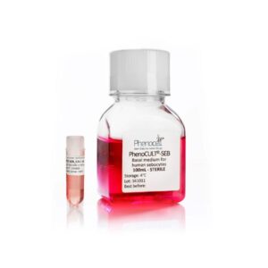 Human iPSC-derived Melanocytes (Caucasian donor), Cells, Media, Supplements, ≥ 1M cells