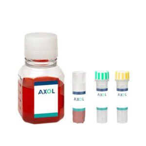 axoCells™ human iPSC-derived sebocytes (ax6616, unaffected), culture media and maturation supplement kit, PCi-SEB_CAU_KIT